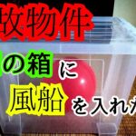 【ガチの事故物件】霊は箱の中の風船も割れる…？【心霊スポット、ユーチューバー】心霊、住んでみた、１週間、幽霊、廃墟、心霊映像、怪奇現象、日常、怪談、怖い話、オカルト、心霊番組、ほん怖、心霊映像、ホラー