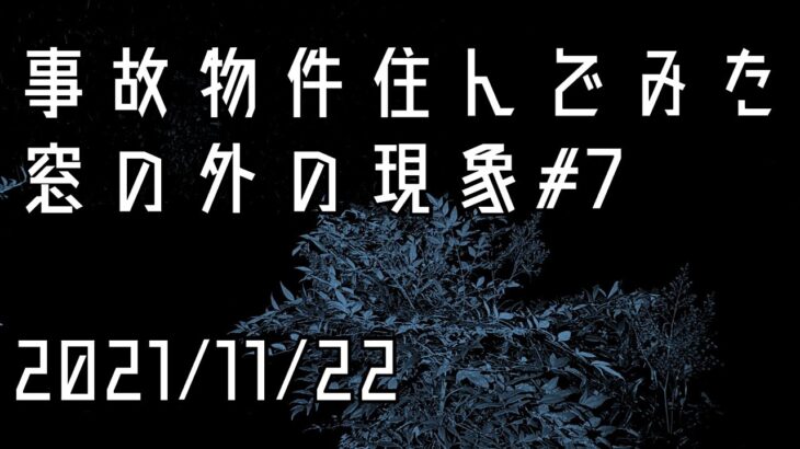 事故物件住んでみた。#19 2021/11/22 午前0時頃　There’s a ghost in my house.