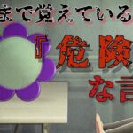 【あつ森】〜20歳まで覚えていると危険〜「都市伝説、怪談、呪いの言葉」