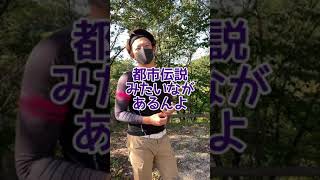 【走り屋あるある62】走り屋都市伝説 #Shorts