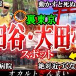 【東京】世田谷&大田区の心霊スポット7選！闇深い公園「等々力渓谷」で起きた怖い話とは…？【ゆっくり解説】