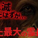 【未確認生物/UMA】絶滅したはずが目撃証言多数…!?  超巨大未確認生物 ギガントピテクス