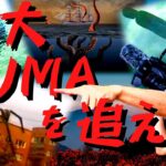 世界の巨大な未確認生物(UMA)たちを追え!