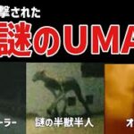 【未確認生物】最近目撃された謎のUMA 8選【ゆっくり解説】