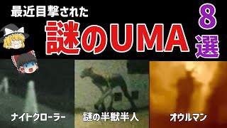 【未確認生物】最近目撃された謎のUMA 8選【ゆっくり解説】