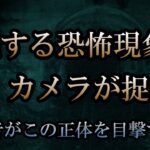 恐怖現象の正体をカメラは捉えていた！【後編】【極閲覧注意】その霊は配信者の傍にずっといた・・・