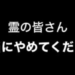 【心霊現象】前回の動画でとんでもない事が起きてました。【恐怖映像】