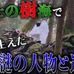 【一度入ったら絶対に抜け出せない山】都市伝説を調べに行ったら、それどころじゃなくなった。