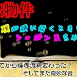 【事故物件】悪霊じゃなくなった？前と違う煙の動きや音【心霊スポット、ユーチューバー】心霊、住んでみた、１週間、心霊現象、廃墟、心霊映像、日常、怖い話、オカルト、心霊番組、ほん怖、動画、映像、ガチ、幽霊