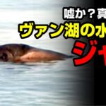 嘘か？真実か？ヴァン湖の水棲獣ジャノ