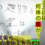 【事故物件】少しずつ核心をつく質問をしたいと思います【心霊スポット、ユーチューバー】心霊、住んでみた、ガチ、１週間、心霊現象、廃墟、心霊映像、怪奇現象、日常、オカルト、番組、怖い、動画、映像、幽霊