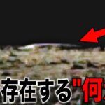 人類が月に行けない裏の理由に驚愕…政府が隠蔽する極秘計画と月面に存在した解明不可能な地球外技術の痕跡【都市伝説】