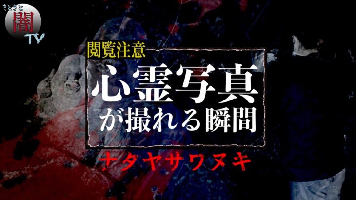 【撮れた心霊写真】廃村で禁忌を犯した結果不可解な現象が起こる。ナタヤサワヌキ【前編】