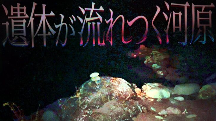 【※霊障多発】自○橋の下にあった物とは…『とある視聴者様からのご依頼(2/3)』