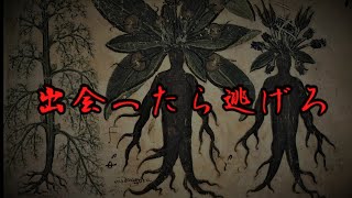 【ゆっくり解説】出会ったら逃げろ！謎の未確認生物3選【UMA】