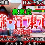 【東京】葛飾&江東区の心霊スポット7選！呪われた聖地「東京ビッグサイト」の怖い話とは…？【ゆっくり解説】