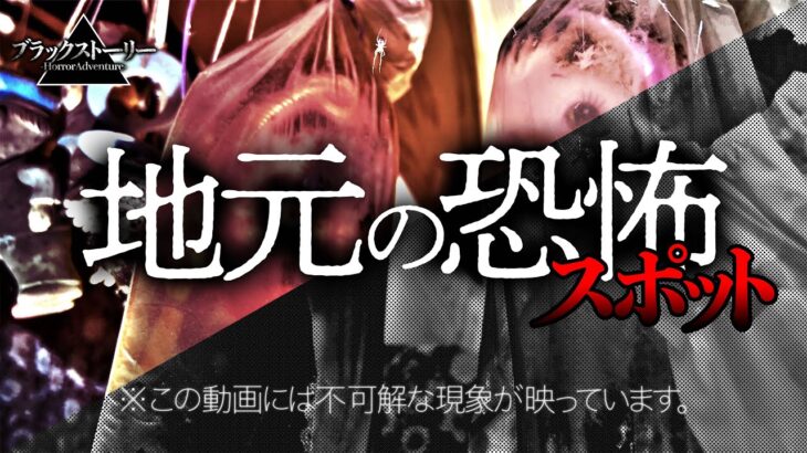 【心霊】ガチの怪奇現象が起きました《Japanese Horror》