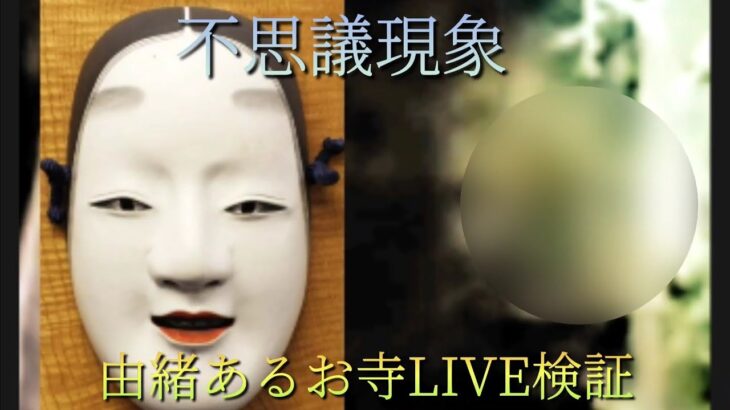 【心霊・不思議現象】由緒あるお寺LIVE検証動画(住職様との会話あります)