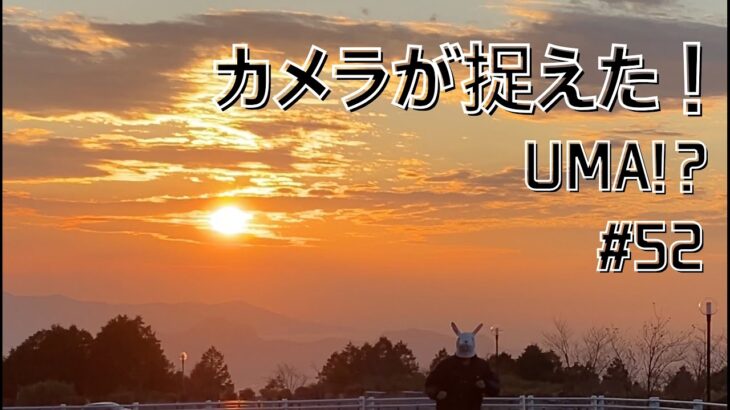 No.52 カメラが捉えた！【衝撃映像！未確認生物！UMA ⁉︎】