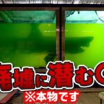 【心霊現象も】世界の廃墟で見つけた不気味なものランキング TOP10【日本の廃墟も】