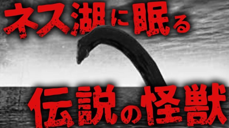 【未確認生物/UMA】ネス湖に眠る伝説の怪獣…!? 20世紀最大のミステリー未確認生物 ネッシー ＜後編＞