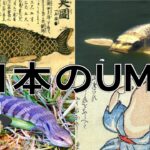 【ゆっくり解説】日本の未確認生物【UMA】