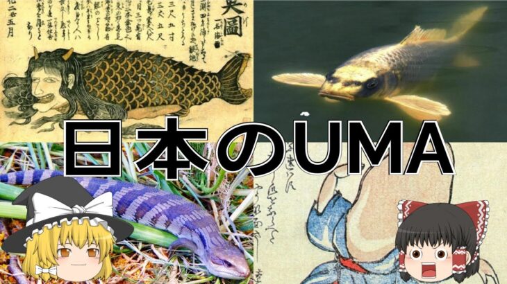 【ゆっくり解説】日本の未確認生物【UMA】