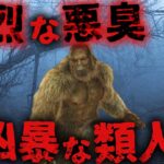 【未確認生物/UMA】正体は目前!? 人を苦しめる悪臭UMA「スカンクエイプ」