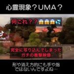 ガチで写り込んでしまった動画😱😳心霊現象⁉︎UMA⁉︎この動画だと手や指にも見えますが元動画をスローで見ると明らかに違います😳💦#心霊現象 #UMA #ホラー #怪奇 #UFO #怖い #衝撃