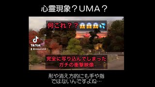 ガチで写り込んでしまった動画😱😳心霊現象⁉︎UMA⁉︎この動画だと手や指にも見えますが元動画をスローで見ると明らかに違います😳💦#心霊現象 #UMA #ホラー #怪奇 #UFO #怖い #衝撃