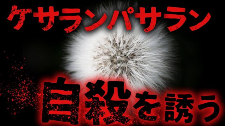 【未確認生物/UMA】自殺を誘う植物…？ 未確認生物ケサランパサラン