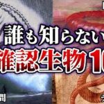 今も謎のまま・・・。研究者も結論を出せない未確認生物UMA10選！