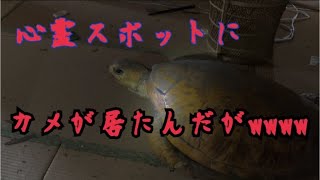 愛知県某心霊スポット探索編　Y名温泉