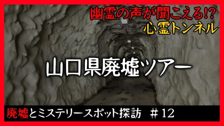 【トンネル実写映像】佐波川ダムで心霊現象発生？心霊スポットの噂に迫る