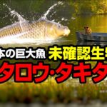 日本の巨大魚未確認生物！ナミタロウ・タキタロウ