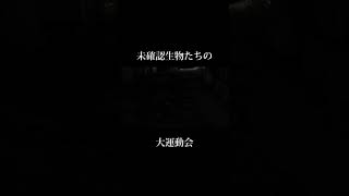 未確認生物たちの大運動会④