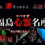 【福島心霊名所】❶飛び降り自〇橋  ❷墓場トンネル　『・・憑りつかれ覚悟！』で突入取材