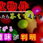 【事故物件】幽霊さん達の趣味を聞いたら可愛すぎた【心霊スポット、ユーチューバー】心霊、住んでみた、ガチ、１週間、現象、心霊映像、日常、オカルト、番組、怖い、動画、映像、質問、会話、廃墟、怪奇現象、恐怖