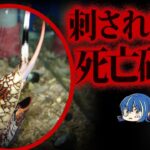 【ゆっくり解説】逃げろ！人間を●す超危険生物９選