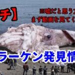 クラーケンが発見されました。