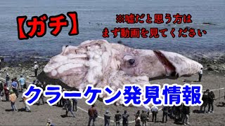 クラーケンが発見されました。