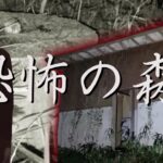 【心霊】人が〇過ぎて閉鎖された森に一人で泊まってみた【大山林道廃キャンプ場】