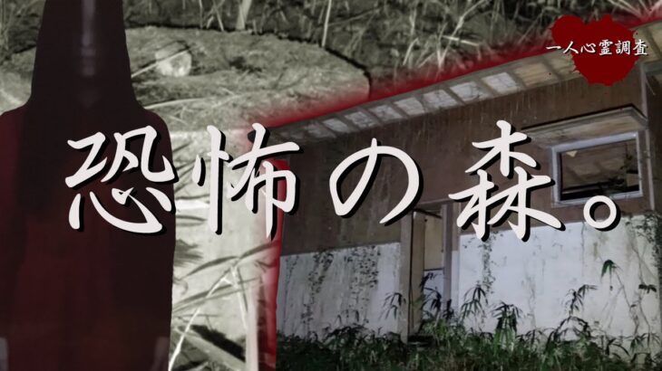 【心霊】人が〇過ぎて閉鎖された森に一人で泊まってみた【大山林道廃キャンプ場】