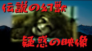 【未確認生物】伝説の幻獣・マンティコアは実在した!?【映像】