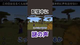 【心霊現象】配信中に謎の声が聞こえる…