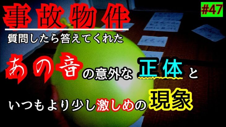 【事故物件】あの音の正体が判明しました【心霊スポット、ユーチューバー】心霊、住んでみた、ガチ、１週間、心霊現象、廃墟、心霊映像、怪奇現象、日常、オカルト、番組、怖い、動画、映像、幽霊、恐怖、影、会話