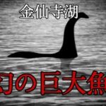 謎の巨大魚に遭遇した話(都市伝説)潜在意識・引き寄せの法則