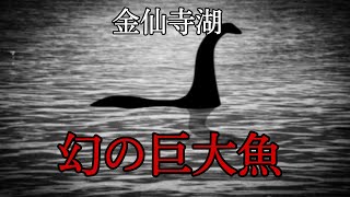 謎の巨大魚に遭遇した話(都市伝説)潜在意識・引き寄せの法則