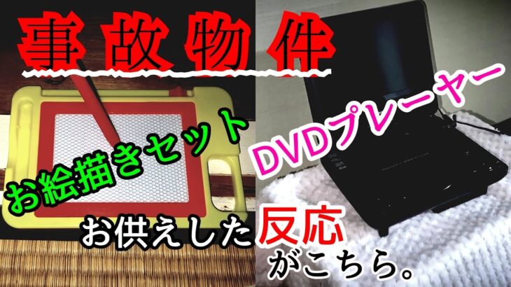 【ガチの事故物件】現象が多い部屋である映画を流したら影が出て…【心霊スポット、ユーチューバー】心霊、住んでみた、１週間、幽霊、心霊映像、怪奇現象、日常、怖い話、オカルト、心霊番組、心霊動画、会話、恐怖