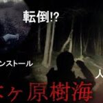 【バイクで日本一周心霊スポット旅】青木ヶ原樹海に一人で潜入【山梨編】【モトブログ】